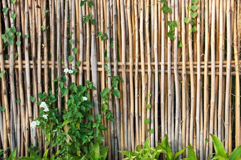 Bamboo Fencing